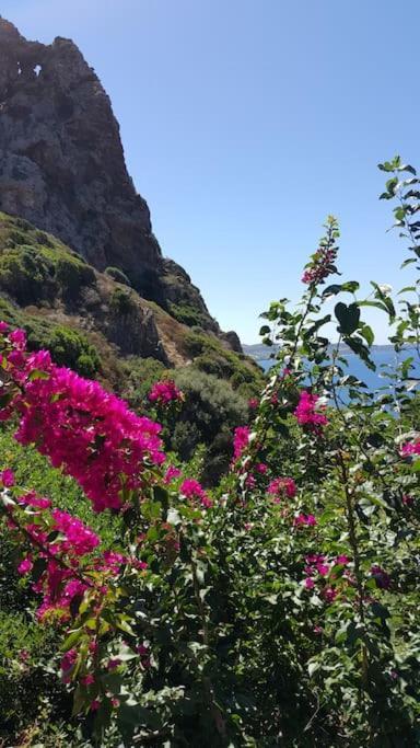 Tanca Piras - Emozioni A Strapiombo Sul Mare!!! Villa Nebida Eksteriør bilde